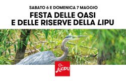 Festa delle Oasi Lipu, sabato e domenica appuntamento al CHM di Ostia