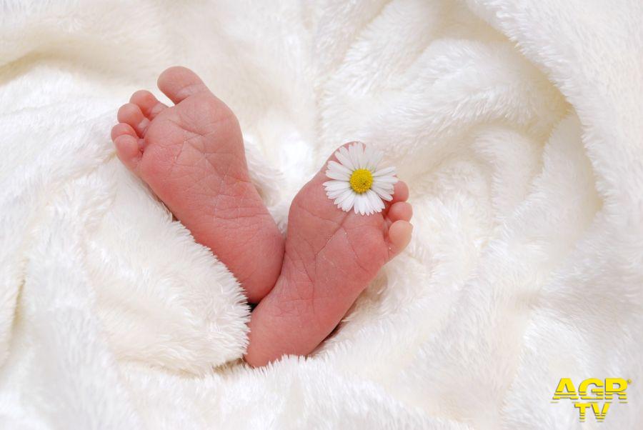 bambino nato foto pixabay bambino nato foto pixabay
