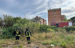 Ostia, violento incendio ieri sera in una baraccopoli nella pineta delle Acque Rosse