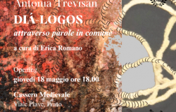 Prato - ''DIÀ-LOGOS attraverso parole in comune''. Conversazione tra artiste nella nuova mostra al Cassero Medievale di Prato