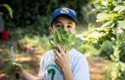 Orto Slow Food nelle scuole, cento nuove classi avranno il loro orto