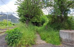 Ferrovia Roma-Viterbo, associazione Trasportiamo: L'Astral sfalci l'erba nelle stazioni di Sant'Oreste e Morlupo