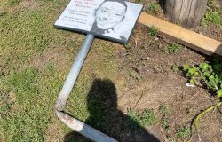 Roma, divelta la targa-ricordo di Willy Montero, il giovane ucciso a Colleferro