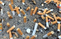 Italia, obiettivo Plastic Free: raccogliere da terra oltre 50 mila mozziconi di sigaretta, pari a 200 kg. di rifiuti