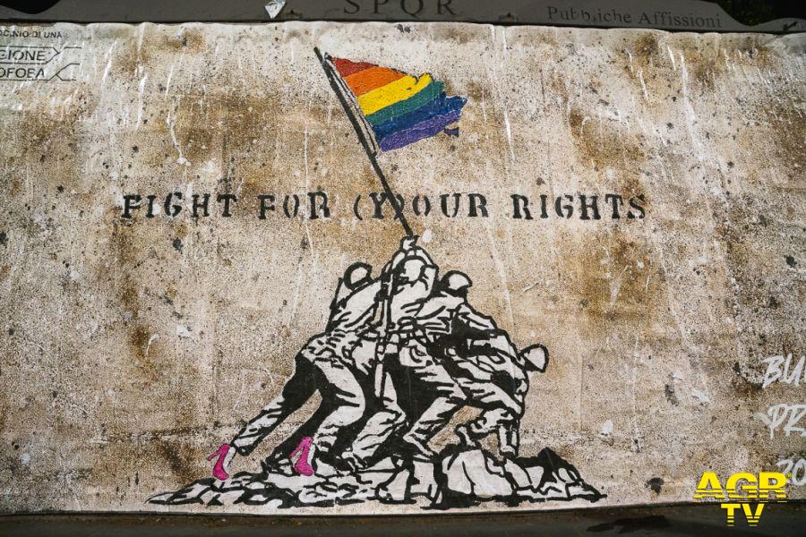 Fight for (Y)our Rights l'opera della strett artist Laika