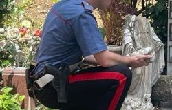 Roma, atti vandalici al cimitero del Verano, danneggiate 12 tombe, in manette tunisino