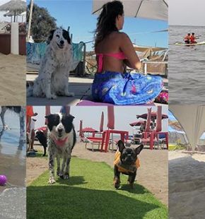 A Maccarese il Festivalbau....3 giorni di festa per i 25 anni del Baubeach