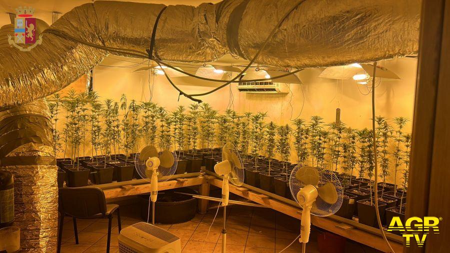 Polizia scoperta una serra di marjuana