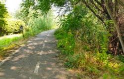 Roma, in bici nella Jungla