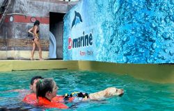 Eroi a quattro zampe...che salvano la vita sulle spiagge, a Zoomarine due giorni con i cani della Sics