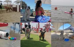 Maccarese, tre giorni di festeggiamenti per i 25 anni della spiaggia per cani