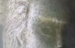 Nemi, misterioso ritrovamento nel lago, dal fango emerge una testa marmorea forse legata alle navi di Caligola