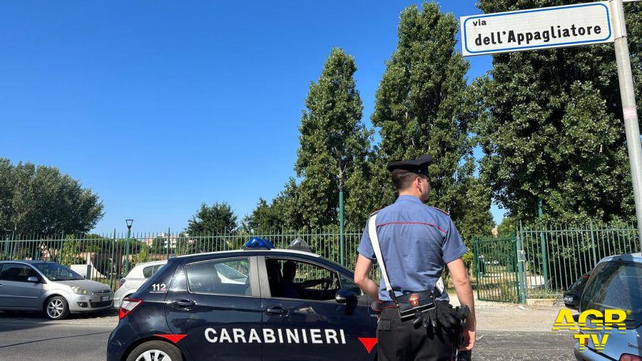 Carabinieri controlli case popolari Ostia