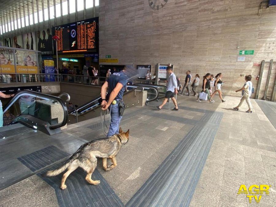 Termini controlli interforze unità cinofile Termini controlli interforze unità cinofile