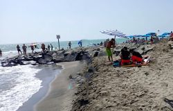 Ostia, tragedia nel primo pomeriggio di oggi, muore un uomo nelle acque antistanti la spiaggia libera di Ostia Levante