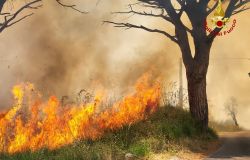 Roma, incendi di sterpaglie in città,  vigili del fuoco e protezione civile impegnati con tutti gli effettivi sui diversi focolai