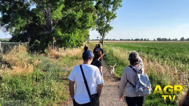 Palidoro, le passeggiate nella natura