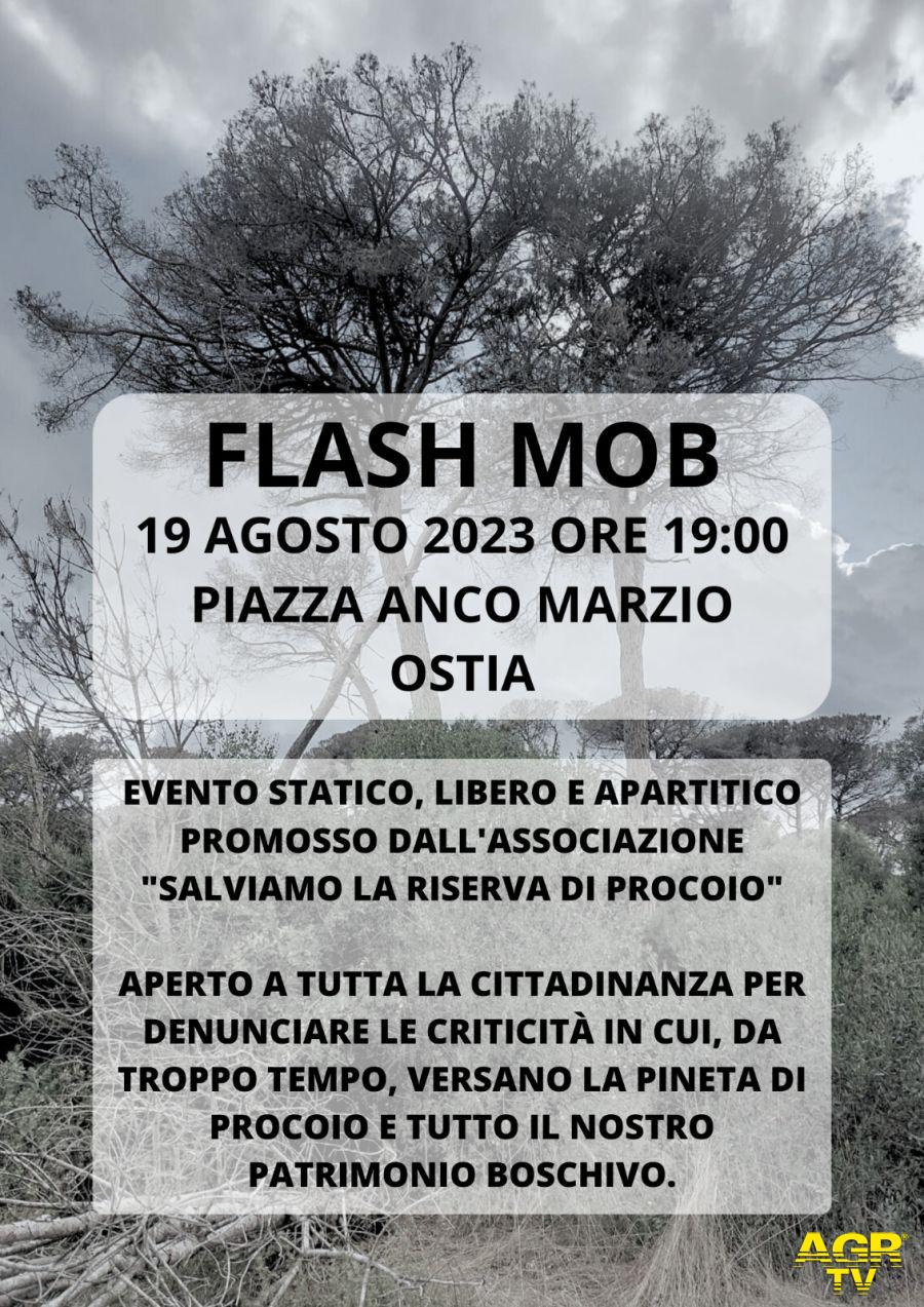 Flash Mob pineta locandina evento