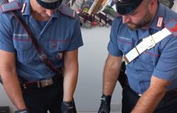 Castel Madama (RM) – Carabinieri Arrestano due persone indiziate di falsificazione e spendita di monete alterate in concorso