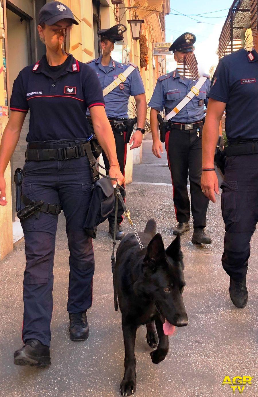 Carabinieri Natan il cane antidroga