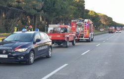 MESOLA: Arrestato un Quarantenne per l'Incendio nella Pineta delle Motte