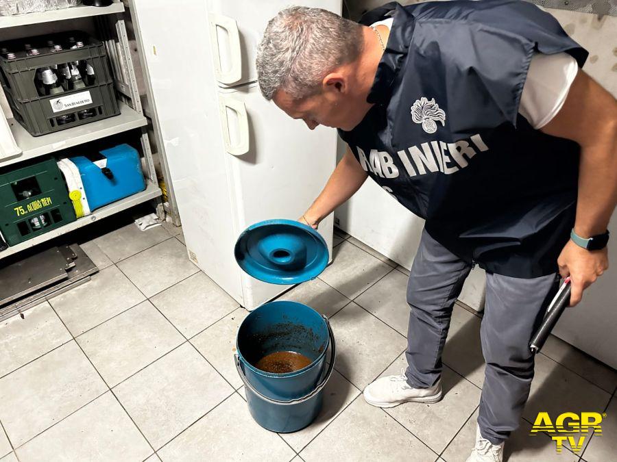 Operazione dei Carabinieri a Roma: 13 denunce e un arresto per contrastare illegalità e degrado