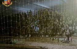 Anzio, piantagione di hashish e marjuana scoperta in un capannone, 8 arresti e 97 kg. di stupefacenti sequestrati