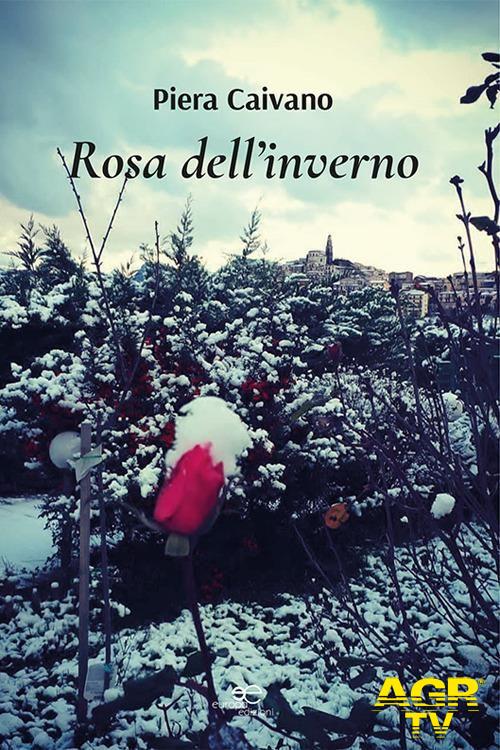 Rosa dell'Inverno copertina libro Piera Caivano
