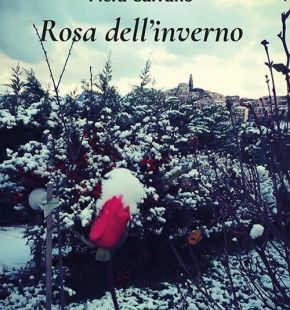 Rosa dell'Inverno raccolta di poesie di Piera Caivano