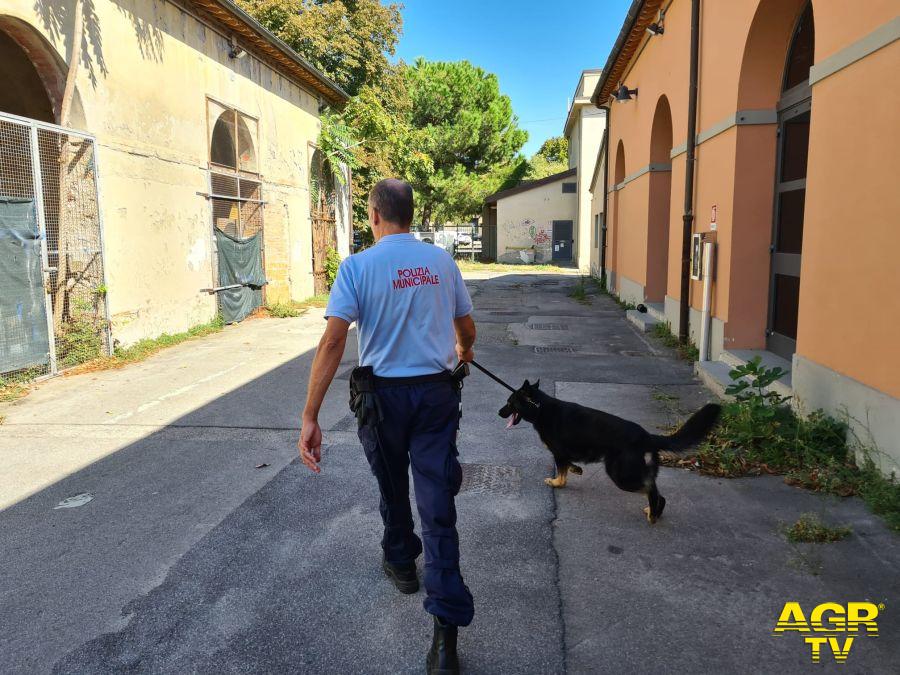 Il fiuto del cane antidroga Ritter scova un nascondiglio di hashish al Serraglio