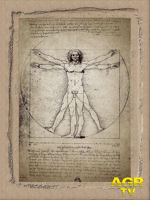 Uomo Vitruviano di Leonardo Da Vinci foto pixabay