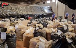 Reggio Calabria, maxi sequestro di cannabis, tre tonnellate di droga rinvenute dai Carabinieri
