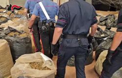 Carabinieri maxi sequestro a San Ferdinando 3 tonnellate di marjuana
