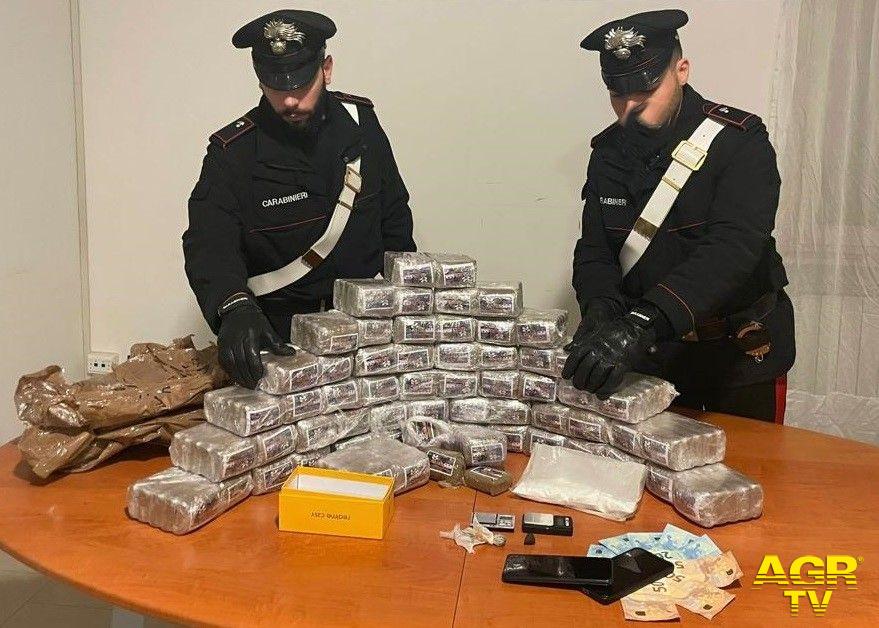 Ardea la droga sequestrata dai carabinieri