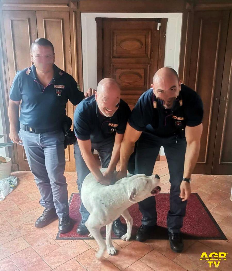 Polizia Ciampino salvataggio cane su via Appia Nuova