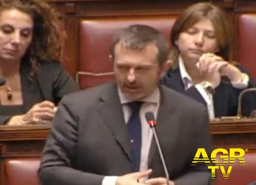 On. Andrea Delmastro Delle Vedove Sottosegretario di Stato al Ministero della Giustizia Fratelli d'Italia - Alleanza Nazionale