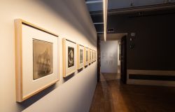 Roma, a palazzo Barberini la mostra: Lo sguardo di Dante-The mimetic observer