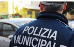 Prato - Ciclista aggredito con una bastonata in testa per una mancata precedenza: l'aggressore rintracciato dalla Polizia Municipale