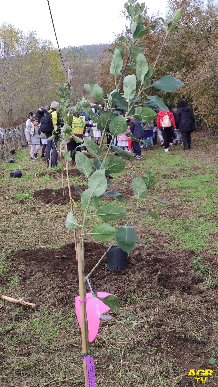 Legambiente un albero piantato foto da comunicato stampa