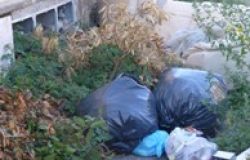 Fiumicino, pugno duro contro chi imbratta ed abbandona gli animali