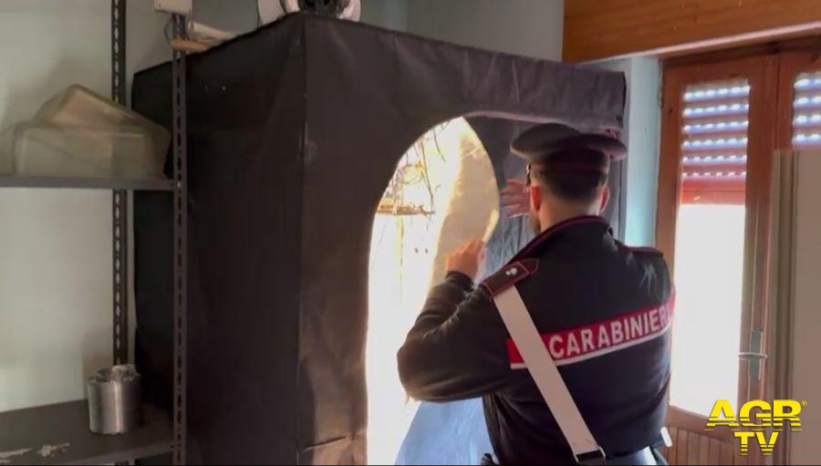 Carabinieri sequestro droga a Palombara Sabina