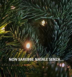 Non sarebbe Natale senza …