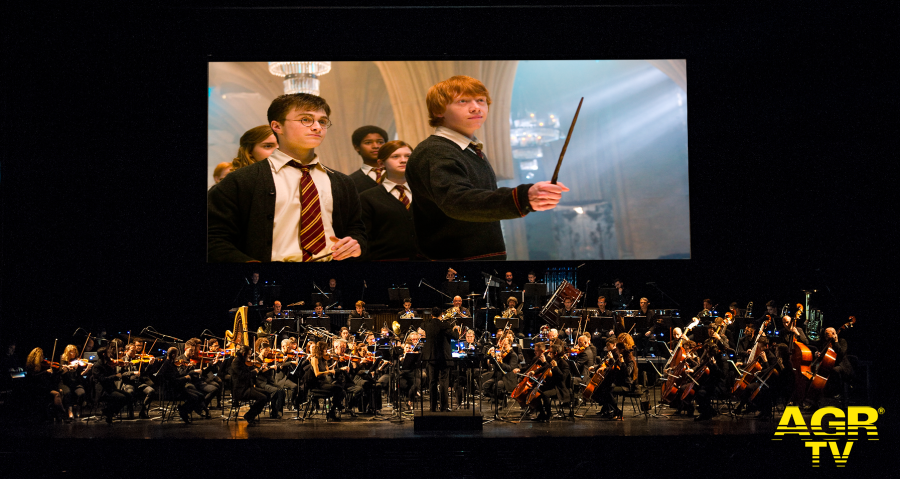 Harry Potter in concerto ph credit Giulia Di Giovanni