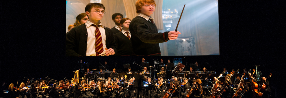 Harry Potter e l'Ordine della Fenice in concerto a Milano e Roma