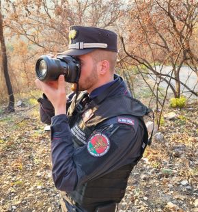 Carabinieri Forestali, Operazione Pettirosso contro il bracconaggio Carabinieri Forestali, Operazione Pettirosso contro il bracconaggio