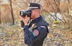 Carabinieri Forestali di Lazio e Sardegna, l'impegno del 2023 in difesa dell'ambiente e della biodiversità