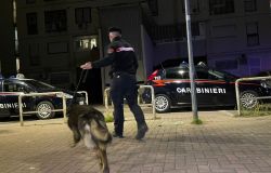 Carabinieri controlli antidroga con i reparti cinofili