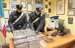 Fiumicino, colpo grosso dei Carabinieri, preso cavallo di Ostia con 70 kg. di cocaina