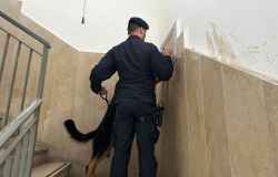 Cesano, arrestato pusher 21enne, aveva mezzo kg. di sostanze stupefacenti