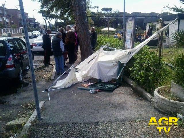 Anzio,aggressione ai volontari di Salviamo la Pineta